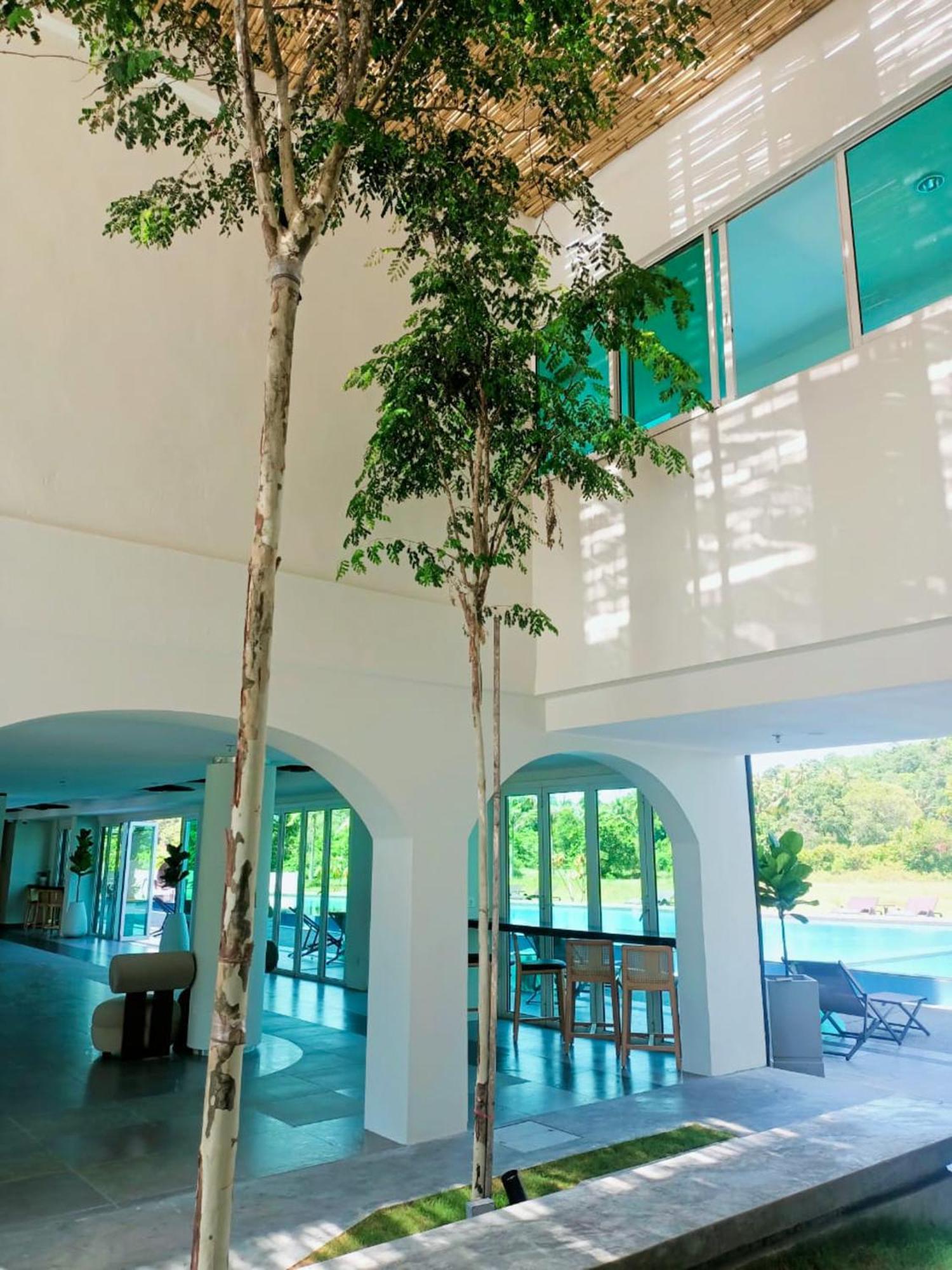 The Bayou Hotel Langkawi Pantai Cenang Kültér fotó